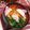 Loyalty's cooksnap of when they made 簡単お雑煮のだし～♪《鶏出汁》.