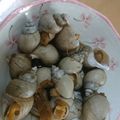 まりえmy's cooksnap of when they made 旨い‼︎バイ貝の煮付け〜残り汁は絶品‼︎.