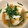 rynbaskets's cooksnap of when they made タラの中華風レンジ蒸し.