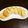 かれーぱんまま's cooksnap of when they made おからのフワフワ焼きドーナツ♡.