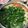 こうたろう2009's cooksnap of when they made にんにくスープ・だしの簡単しゃぶしゃぶ鍋.