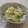 しーふぉー's cooksnap of when they made 蕪(かぶ）のお漬物千枚漬け風.