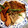 たなかno's cooksnap of when they made カレーと素揚げの野菜彩り.
