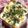 ぽぽきゅ's cooksnap of when they made 茹で卵の海苔胡麻紫蘇風味トースト.