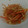 オニダルマオコゼ's cooksnap of when they made 冷凍お弁当お野菜おかず：筍のごま中華炒め.
