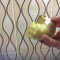 tyanncyonn's cooksnap of when they made 簡単！しょうがの皮むき.