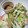 パパの手料理☆'s cooksnap of when they made 大根と胡瓜のサラダ.