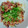 ミースケねこ's cooksnap of when they made 牡蠣とベーコンとしめじのピリ辛炒め煮♪.