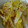 オリジナルよっこ's cooksnap of when they made 白菜と中華くらげ和え.