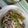 dessin_f's cooksnap of when they made 牛肉とピーマンのオイスター炒め.