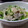 ビッグパイン's cooksnap of when they made キャベツと豚肉の簡単蒸し焼き.