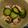 テニキチかん's cooksnap of when they made タコときゅうりの酢の物.