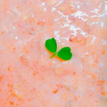 Cook★Robin's cooksnap of when they made 完熟柿の美味しいギリシャヨーグルト風！.