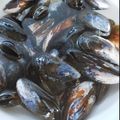canadawhistler's cooksnap of when they made ムール貝の下処理方法.