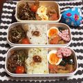 さくらん餅's cooksnap of when they made 白菜と豚肉のピリ辛味噌炒め.