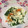 ぽぽきゅ's cooksnap of when they made 春菊としらすの白和え.
