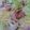 きゃんま's cooksnap of when they made 簡単☆ミルクスープパスタ.