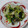 イチゴ、イチゴ。's cooksnap of when they made ほうれん草と白菜のおひたしサラダ.