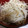 みりん調味料's cooksnap of when they made 簡単♪もやしとえのきのナムル.