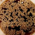 ちゃらちぴ's cooksnap of when they made 湯豆腐のタレ.