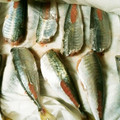 ★つぅちゃん★'s cooksnap of when they made 小あじ下処理方法（写真付）.