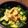 えるみちゃん's cooksnap of when they made ほっくりおいしい！茹で鮭とアボカド丼.