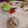 tomicheru's cooksnap of when they made ゆでない！塩豚蒸しポッサム.