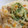 kkll0000's cooksnap of when they made 水菜と切り干し大根のゴママヨポン和え.