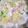 ツインズ♀ママ's cooksnap of when they made おいしい！具だくさん白菜たまごスープ♪.