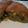 タカくんママ's cooksnap of when they made おせちリメイク 栗きんとんケーキ.