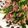 ちうちう＆ぷうぷう's cooksnap of when they made 塩麹さんde砂肝.