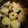 yako777's cooksnap of when they made 「千葉」大浦ごぼうの煮つけ.