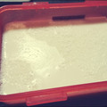 ママんま's cooksnap of when they made 超簡単! 牛乳寒天.