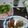 クックKN7GSC☆'s cooksnap of when they made 手軽なイタリアン♪豚ロースの香草焼き.