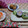みたらしだんご大好き's cooksnap of when they made 梅の花　飾り巻き寿司.