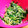 はる1107's cooksnap of when they made 豆苗とシラスのマヨネーズ和え.