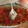 犬飼ってる's cooksnap of when they made 意外とはまる！紅しょうが納豆.