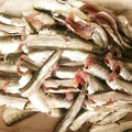 ちょびーす's cooksnap of when they made いわしの下処理.