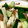 chizu115's cooksnap of when they made 材料は３つ☆簡単きゅうりと長芋の梅和え.