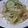 ♡あーすけ♡'s cooksnap of when they made もやしの中華風サラダ.