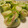 紅葉ｙ's cooksnap of when they made ●くるっとハム●　第2弾.