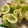 紅葉ｙ's cooksnap of when they made ●くるっと　きゃべつ●　第2弾.