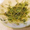 みるくとココア's cooksnap of when they made 豆苗の炒め物.