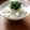 ikumiまま's cooksnap of when they made *刻むだけ！ほっとあたたまる七草粥★.