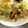 ひろあら's cooksnap of when they made 青パパイヤのめんつゆかつお節炒め.