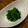 栗丸うさぎ's cooksnap of when they made 色鮮やか簡単！ほうれん草のおひたし.