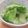 きらり流れ星's cooksnap of when they made レンジで即席 白菜の浅漬け.