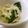 そらてんママ's cooksnap of when they made もやしのみ！ レンジで簡単おつまみ.