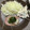 あるぺんちゃん's cooksnap of when they made 和風・さっぱりハムステーキ(大根おろし).