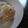 リトル黒豆マーメイド's cooksnap of when they made おつまみにも！ゆで卵の酒粕味噌漬け.